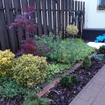 1. Dunaharaszti magánkert Előkert