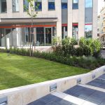 1. Eco Dome kültér