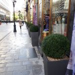 1. Fashion Street Buxusok