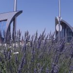 1. Korda Studió főbejárat június