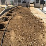 1. Ürömi magánkert kertrendezés előtt