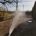 2. Budakalász terítés utáni vetés kézi utógondozás