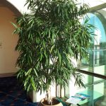 2. Nemzeti Színház emelet