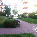 2. Óbuda Lakókert cserjeápolás