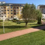 2. Óbuda lakókert fűnyírás után