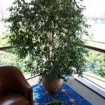 3. Nemzeti Színház metszés