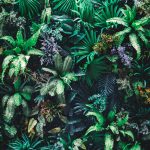 4. Eco Dome közösségi tér élőfal