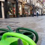 4. Fashion street buxus tápanyag utánpótlás és locsolás
