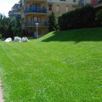 4. Óbuda lakókert fűnyírás