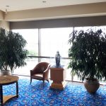 4.Nemzeti Színház 2 Ficus