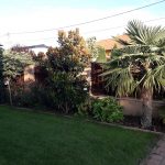 5. Dunaharaszti Magánkert oldalsó szakasz Déli oldal kertrendezés után