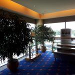 5.Nemzeti Színház Ficusok