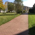 8. Óbuda lakókert teljeskörű kert karbantartás