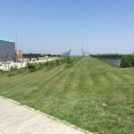 9. Korda stúdió rendszeres fűnyírás